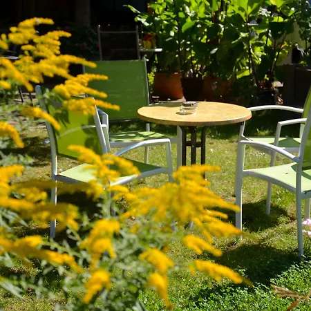 Alt-connewitz 3* لبسيا