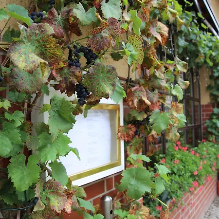 Alt-connewitz Hotel Lipsk