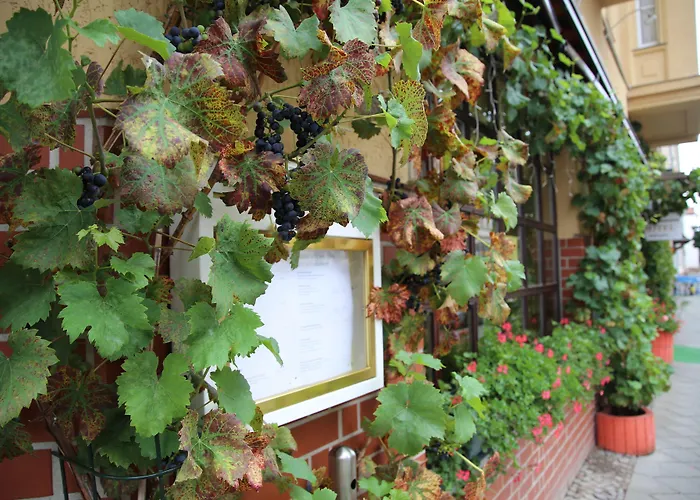 Alt-connewitz Hotel Lipsia